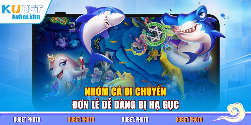 Nhóm cá di chuyển đơn lẻ dễ dàng bị hạ gục